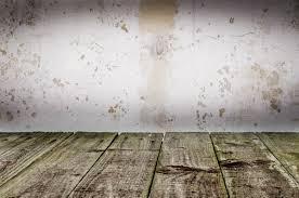 black mold in your bathroom