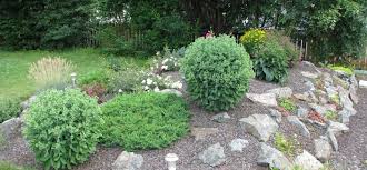 Lavasteine für den grill » große auswahl ➜ top preise & tolle angebote ➜ schneller versand » jetzt günstig kaufen. Gartenlava Bester Rindenmulch Ersatz Und Gartendekoration