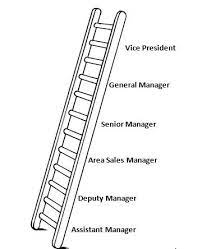 Career Ladder Career Ladder Human Resources