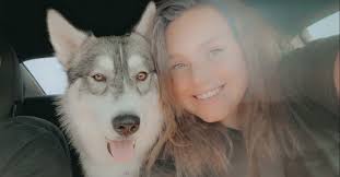 Suggestions for helping a skinny husky gain weight