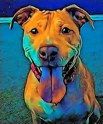 Maybe you would like to learn more about one of these? Pit Bull Angel Guardians For The Animals Of Ohio Rescue