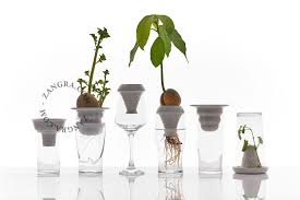 Hydrocultuur Kiempotje In Porselein Plante Verte Deco Plantes Hydroponique