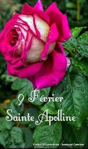 Ephéméride - Seasonal Calendar - 9 Février Sainte Apolline | Facebook