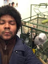 My surveillance system!