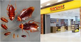 Check spelling or type a new query. Modal Tak Sampai Rm 10 Lelaki Kongsi Dapat Hapuskan Banyak Lipas Dalam Kereta Guna Perangkap Mr Diy Ini