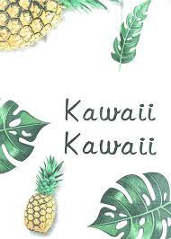 Kawaii Kawaii in Honolulu, HI | Ala Moana Center