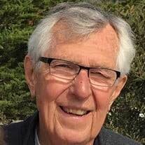 501b33a3-cce8-4983-99c5-5eeb8e715612