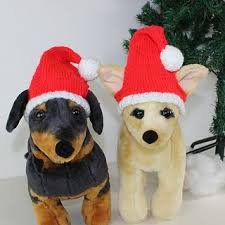 Dress your dog in the cutest snow cap for the holidays. Dog Christmas Santa Hat Knitting Patterns For Dogs Christmas Dog Sweater Santa Hat Pattern