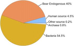 complete mitochondrial genome of a pleistocene jawbone