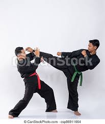 In malaysia it is known as bersilat. Pencak Silat Stock Photo Images 218 Pencak Silat Royalty Free Pictures And Photos Available To Download From Thousands Of Stock Photographers