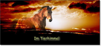 Tierhimmel
