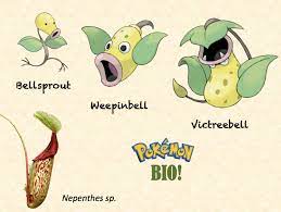 There are currently a total of 2 pokémon in the houndour family. La Ciencia De La Vida La Base Biologica De Los Pokemon Tipo Planta