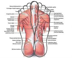 Karens Reflexology Studio On Aucklands North Shore