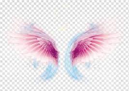 Pink Wings Illustration Wing Computer File Wing Transparent Background Png Clipart Wings Illustration Wings Icon Wings Art