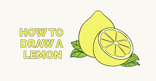 How To Draw A Lemon Really Easy Drawing Tutorial In 2021 Drawing Tutorial Easy Flower Drawing Drawing Tutorial