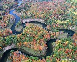 The Manistee River Winding Through The Lovely Fall Colors Of
