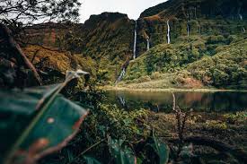 Flores island is an island of the western group (grupo ocidental) of the azores. Flores Azoren Het Meest Pure Eiland Van Europa Wearetravellers