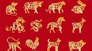 El horóscopo chino 2021 trae importantes recomendaciones para cada uno de los doce animales del zodiaco chino, algunos más favorables que otros. 0ihihpdz A Sm