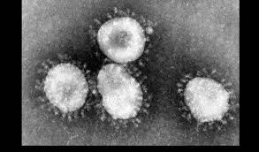 Semakin hari tingkat kematian yang diakibatkan oleh virus corona meningkat. Selain Corona Ini Virus Berbahaya Dari China