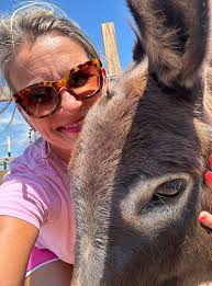 Hi! I'm new here. The fact that they gather around the mothers while giving  birth made me fall in love with them! 🐘😍❤
