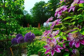 Jar candle $3.99when you buy 3 with card oroweat bread $2.99wıth card. The New American Garden Is Edible Wsj
