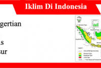 Sehingga menurut iklim matahari, kondisi iklim di bumi terbagi menjadi empat daerah iklim, yaitu iklim dingin dapat dikelompokkan menjadi dua bagian yaitu iklim tundra dan iklim es (salju). Identifikasikan Ciri Ciri Daerah Tundra