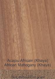 Image result for Khaya grandifoliola