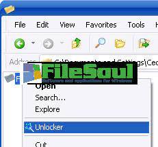 Versions of windows, with the latest win 8, 8.1 and 10 included. Unlocker 1 8 8 Download For Windows Filesoul Com