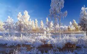 Bing Wallpaper Collection Weekly Bing Wallpapers 25 To 31 December 2012 Hq Wallpapers Winter Landscape Winter Desktop Background Landscape Wallpaper
