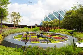 Gardens By The Bay سنغافورة