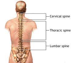 Post Laminectomy Syndrome Treatment In Nj Pain Management Doctor