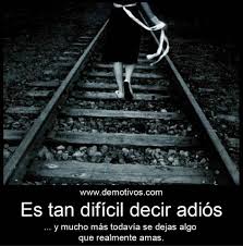 Pin En Frases