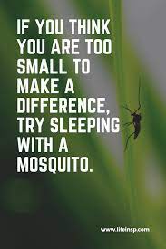 20 Funny Motivational Quotes That Will Motivate And Make You Laugh Lifeinspiration Funny Motivational Quotes Funny Inspirational Quotes Funny Quotes