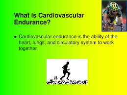 Cardiovascular endurance is the heart's ability to withstand extended periods of activity. Ppt What Is Cardiovascular Endurance Powerpoint Presentation Free Download Id 5773241