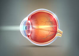 Common retinal tear symptoms include generally, symptoms of a retinal tear or detachment occur in one eye only. Retinal Tear Symptoms Nashville Tn Eye Diseases