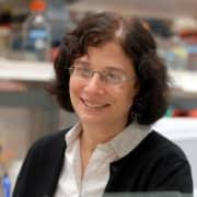 Yale's M.D./Ph.D. Program celebrates a birthday and 188 promising careers <  Yale School of Medicine