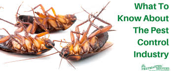 However, it is important to figure out where these insects have gotten. What To Know About The Pest Control Industry Pestmaster Services