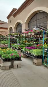 Pin De Lhjang En Garden Retail Displays Huerto En Casa Invernaderos Vivero