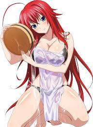 Pin by Yimmi enrique Mateo mateo on rias gremory | Anime high school, Dxd, Highschool  dxd