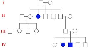 the open door web site ib biology genetics pedigree charts