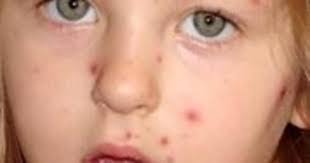 Liza Pina's Instagram, Twitter & Facebook