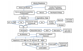 That Alkaline Phosphatase Seems Really High The