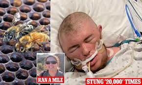 Thirteen states are invaded by terrifying killer bees that swarm by the  hundreds and chase cars for miles