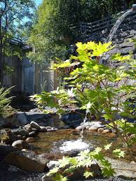 Vi inspireras även mycket av japanska trädgårdar. Japanska Tradgarden Arboretum Norr
