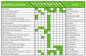 The Positive Effects Of Cannabinoids Colorado Pot Guide