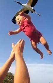 50 Heart Stopping Photos Taken Just Before Disaster Actually He S Just Fine Makes For An Interesting Pho Perfectly Timed Photos Time Photo In This Moment