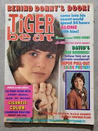 Less than 10 tickets left! Don't forget to bring your Tiger Beat magazines  to the VIP Tiger Beat Magazine Pre-Show VIP Celebration