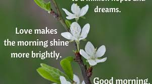 Thich nhat hanh quotes on mindfulness are plentiful. Sunday Quotes With Flowers Sunday Morning Good Morning Words Positive Quote Of The Day Dogtrainingobedienceschool Com