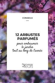 Découvrez une sélection d'arbustes fleuris durant l'été, et tous les conseils pratiques pour réussir leur culture. 12 Arbustes Parfumes Pour Un Jardin Odorant Toute L Annee Promesse De Fleurs