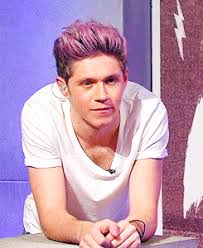 For niall, a messy free style is the best and you can clearly see this throughout all of his hairstyles. Resident Cat Lady Under The Cut You Ll Find Roughly 025 Small